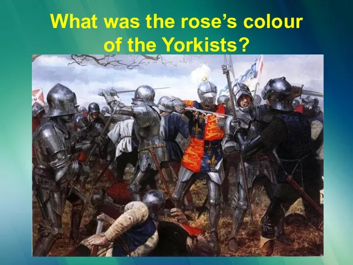 What was the rose’s colour of the Yorkists?