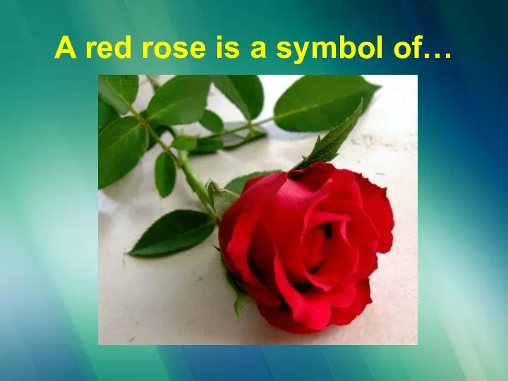 A red rose is a symbol of…