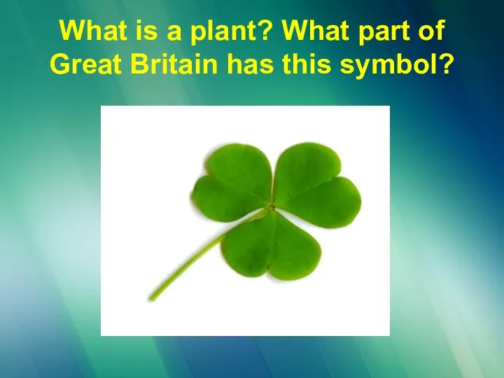 What is a plant? What part of Great Britain has this symbol?