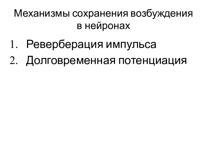 Механизмы сохранения возбуждения в нейронах Реверберация импульса Долговременная потенциация