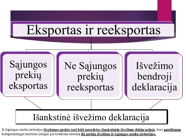 Išankstinė išvežimo deklaracija Iš Sąjungos muitų teritorijos išvežamos prekės turi