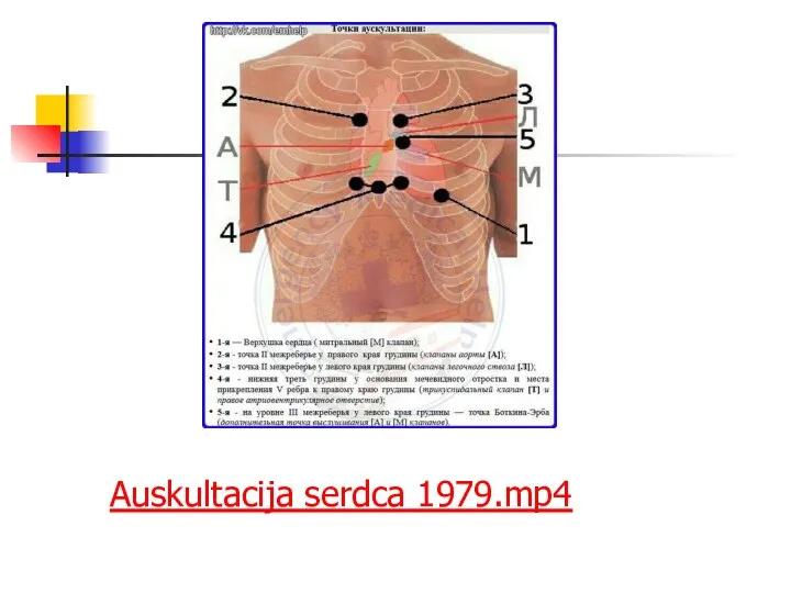 Auskultacija serdca 1979.mp4