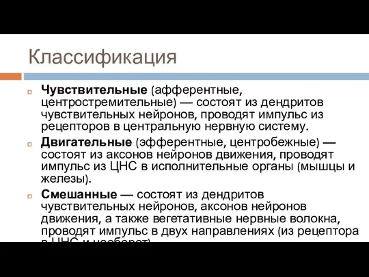 Классификация Чувствительные (афферентные, центростремительные) — состоят из дендритов чувствительных нейронов,