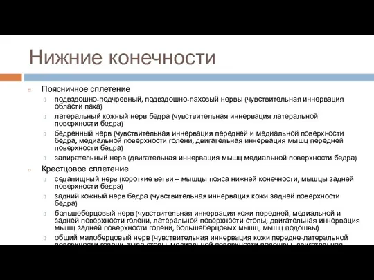 Нижние конечности Поясничное сплетение подвздошно-подчревный, подвздошно-паховый нервы (чувствительная иннервация области паха) латеральный кожный