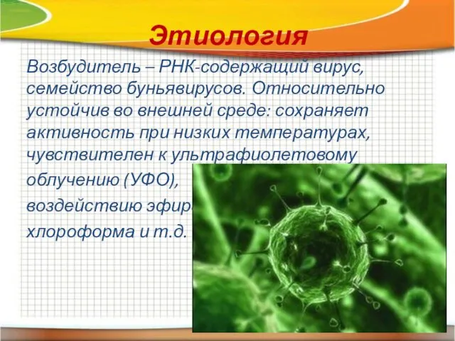 Этиология Возбудитель – РНК-содержащий вирус, семейство буньявирусов. Относительно устойчив во