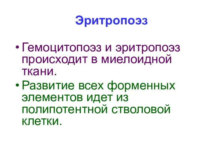 Эритропоэз Гемоцитопоэз и эритропоэз происходит в миелоидной ткани. Развитие всех