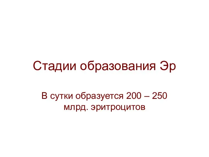 Стадии образования Эр В сутки образуется 200 – 250 млрд. эритроцитов