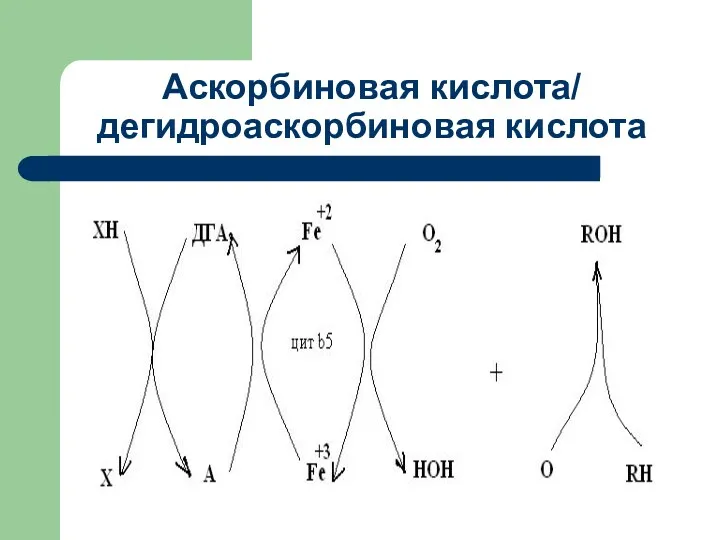 Аскорбиновая кислота/ дегидроаскорбиновая кислота