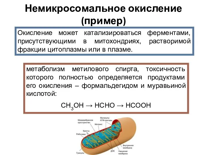 Немикросомальное окисление (пример) Окисление может катализироваться ферментами, присутствующими в митохондриях,