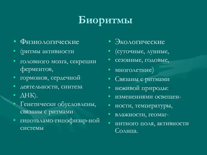 Биоритмы Физиологические (ритмы активности головного мозга, секреции ферментов, гормонов, сердечной