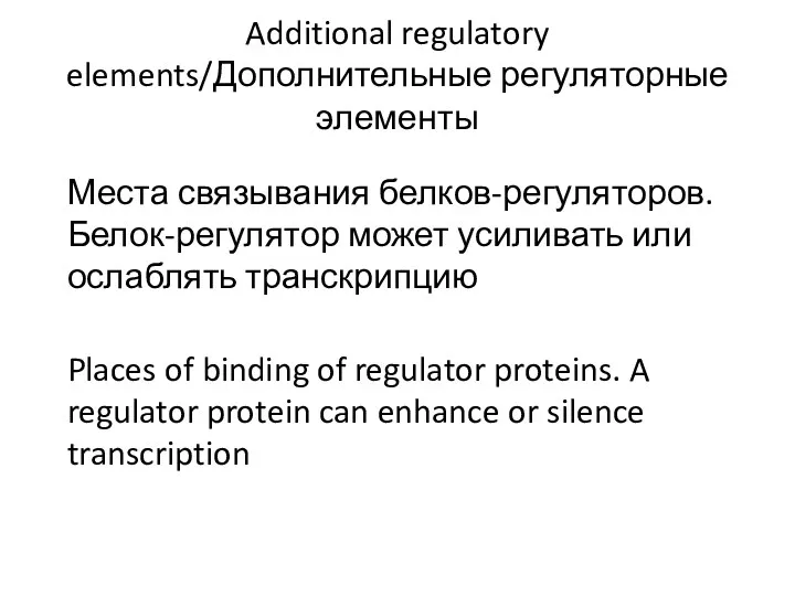 Additional regulatory elements/Дополнительные регуляторные элементы Места связывания белков-регуляторов. Белок-регулятор может