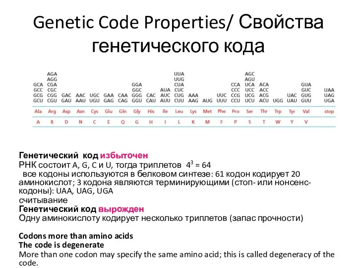 Genetic Code Properties/ Свойства генетического кода Генетический код избыточен РНК