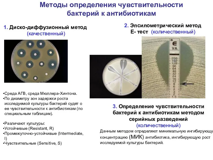 Методы определения чувствительности бактерий к антибиотикам 1. Диско-диффузионный метод (качественный) 2. Эпсилометрический метод