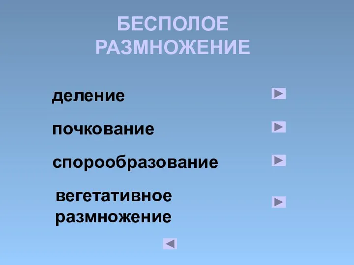 БЕСПОЛОЕ РАЗМНОЖЕНИЕ деление почкование спорообразование вегетативное размножение