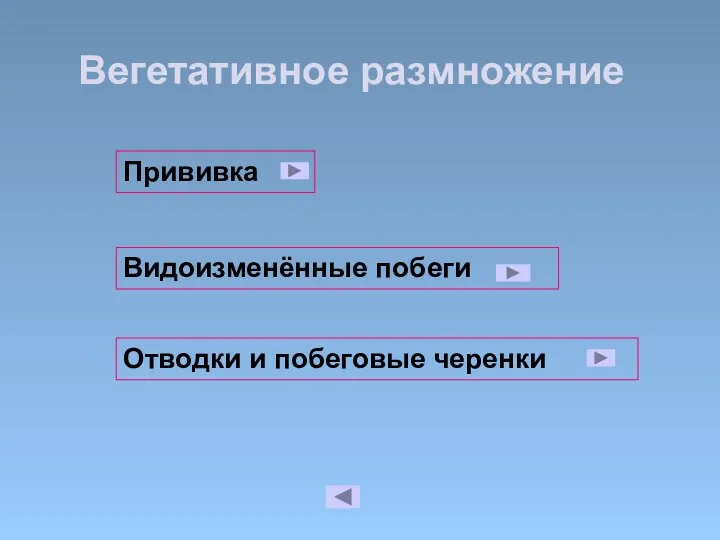 Вегетативное размножение Видоизменённые побеги Отводки и побеговые черенки Прививка