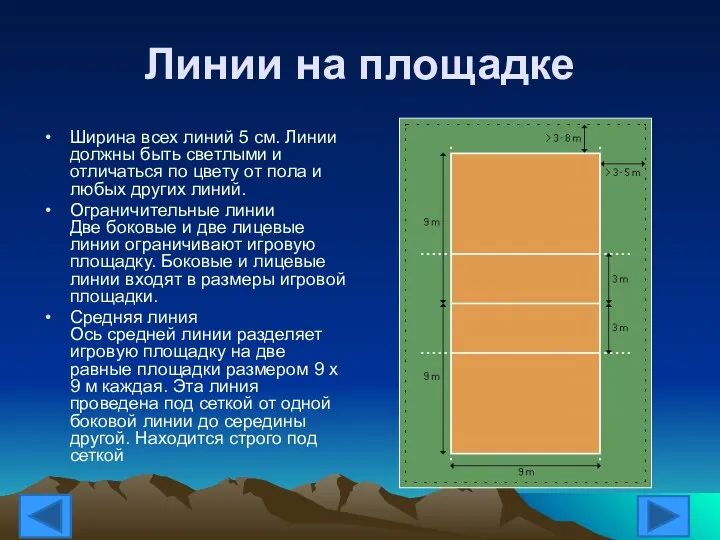 Линии на площадке Ширина всех линий 5 см. Линии должны быть светлыми и