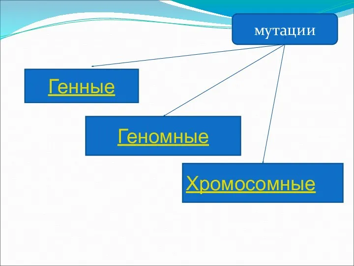 Генные Геномные Хромосомные мутации