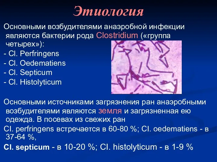 Этиология Основными возбудителями анаэробной инфекции являются бактерии рода Clostridium («группа четырех»): - Cl.
