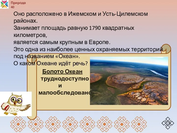 Природа 40 Болото Океан труднодоступно и малообследовано Оно расположено в Ижемском и Усть-Цилемском