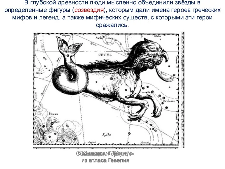 В глубокой древности люди мысленно объединили звёзды в определенные фигуры