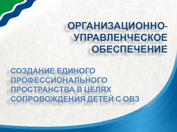 ОРГАНИЗАЦИОННО-УПРАВЛЕНЧЕСКОЕ ОБЕСПЕЧЕНИЕ СОЗДАНИЕ ЕДИНОГО ПРОФЕССИОНАЛЬНОГО ПРОСТРАНСТВА В ЦЕЛЯХ СОПРОВОЖДЕНИЯ ДЕТЕЙ С ОВЗ