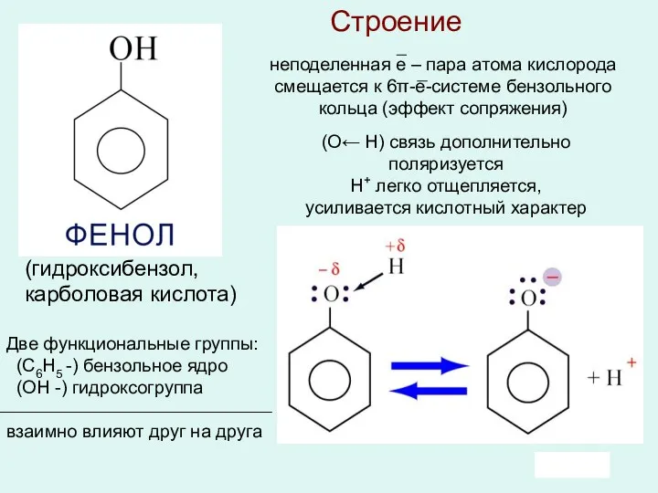 Строение (гидроксибензол, карболовая кислота) Две функциональные группы: (C6Н5 -) бензольное