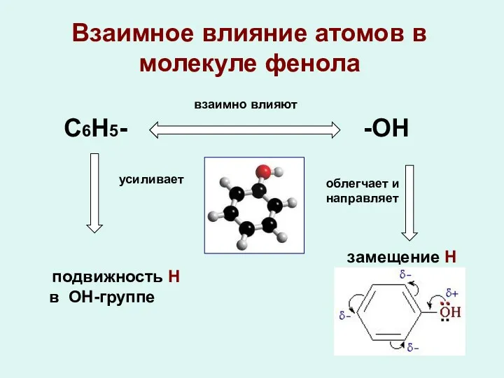 Взаимное влияние атомов в молекуле фенола С6Н5- -ОН взаимно влияют