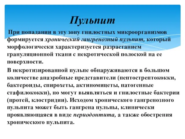 При попадании в эту зону гнилостных микроорганизмов формируется хронический гангренозный