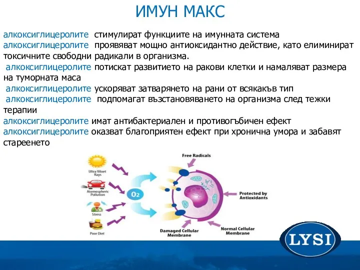 алкоксиглицеролите стимулират функциите на имунната система алкоксиглицеролите проявяват мощно антиоксидантно