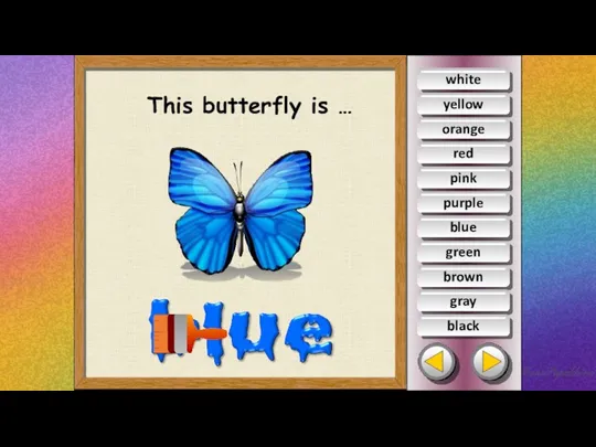 This butterfly is … white yellow orange red pink purple green brown gray black blue