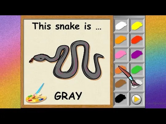 This snake is … GRAY