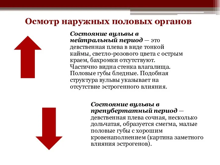 Осмотр наружных половых органов