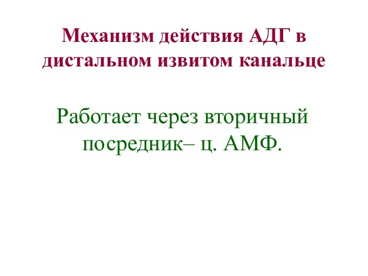 Работает через вторичный посредник– ц. АМФ. Механизм действия АДГ в дистальном извитом канальце