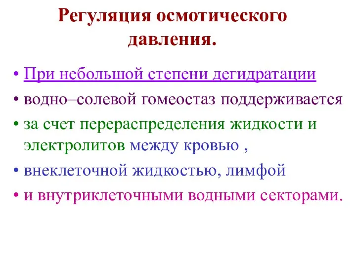 Регуляция осмотического давления. При небольшой степени дегидратации водно–солевой гомеостаз поддерживается