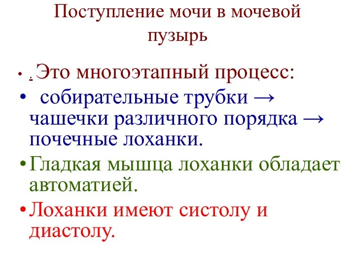 Поступление мочи в мочевой пузырь . Это многоэтапный процесс: собирательные