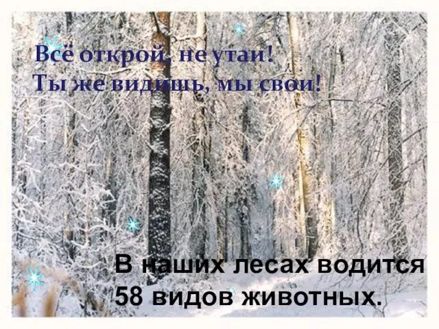 Всё открой, не утаи! Ты же видишь, мы свои! В наших лесах водится 58 видов животных.