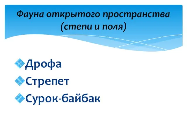 Дрофа Стрепет Сурок-байбак Фауна открытого пространства (степи и поля)