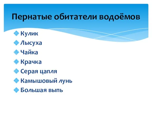 Кулик Лысуха Чайка Крачка Серая цапля Камышовый лунь Большая выпь Пернатые обитатели водоёмов