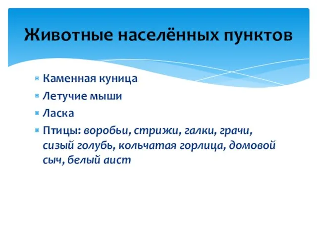 Каменная куница Летучие мыши Ласка Птицы: воробьи, стрижи, галки, грачи,