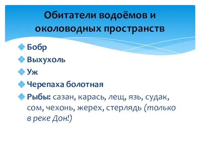 Бобр Выхухоль Уж Черепаха болотная Рыбы: сазан, карась, лещ, язь,