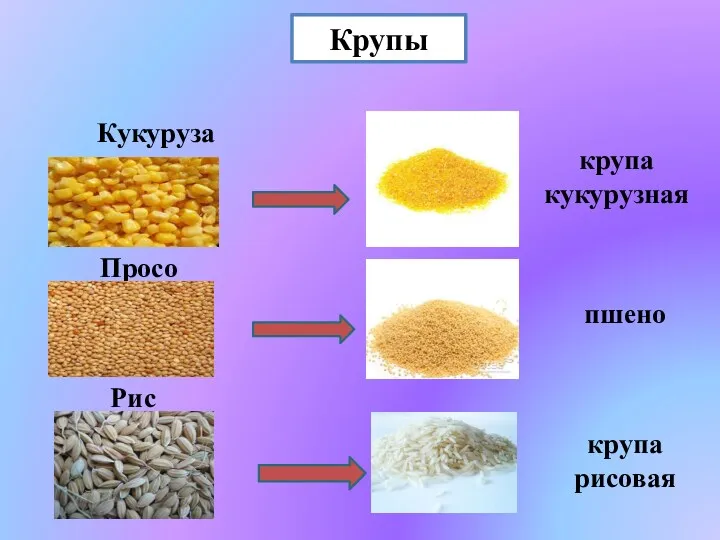 Крупы Кукуруза Рис Просо крупа кукурузная пшено крупа рисовая