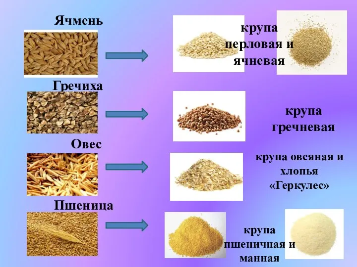 Ячмень Гречиха Овес Пшеница крупа гречневая крупа овсяная и хлопья