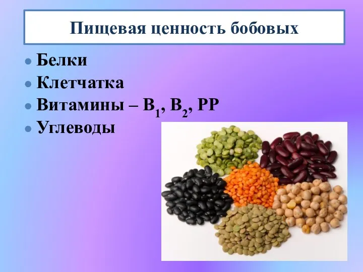 Пищевая ценность бобовых Белки Клетчатка Витамины – В1, В2, РР Углеводы