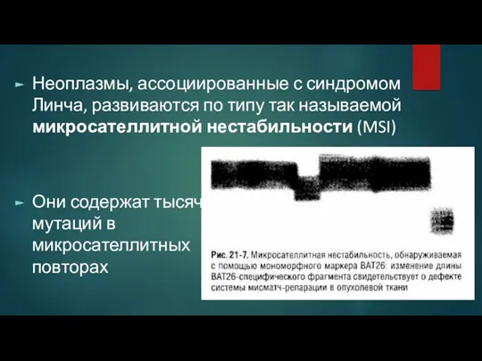 Неоплазмы, ассоциированные с синдромом Линча, развиваются по типу так называемой