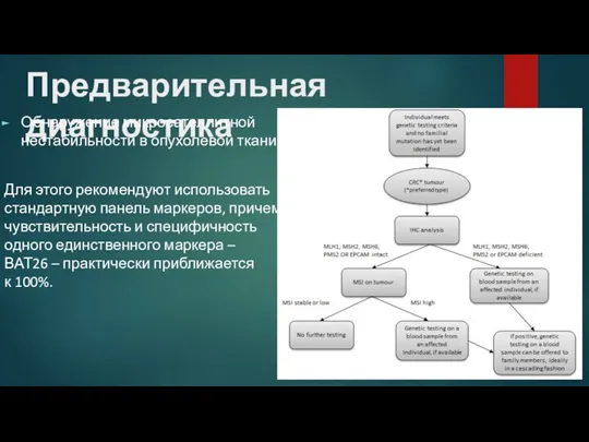 Предварительная диагностика Обнаружение микросателлитной нестабильности в опухолевой ткани Для этого рекомендуют использовать стандартную