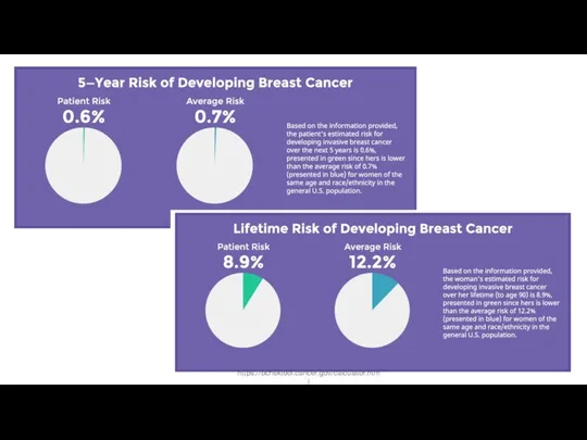 https://bcrisktool.cancer.gov/calculator.html