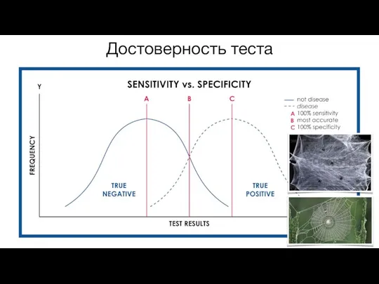 Достоверность теста