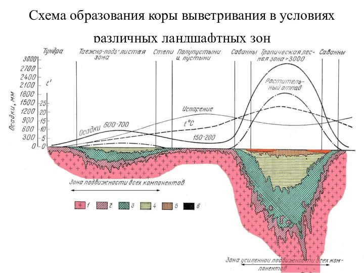 Схема образования коры выветривания в условиях различных ландшафтных зон