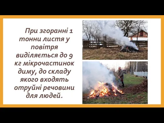 При згоранні 1 тонни листя у повітря виділяється до 9