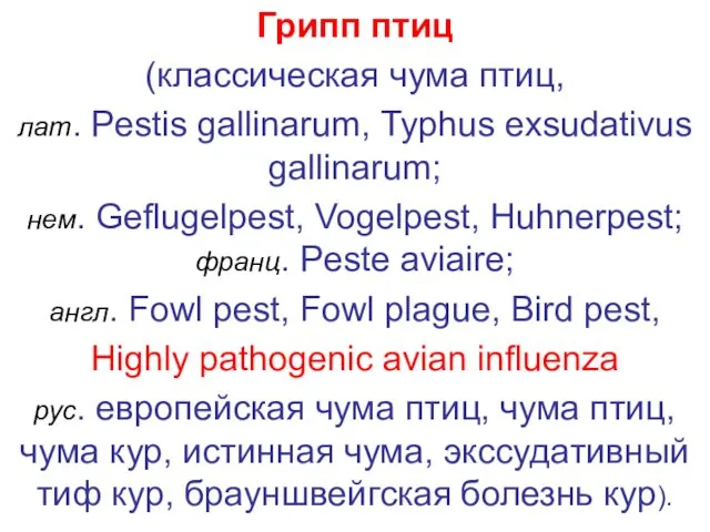 Грипп птиц (классическая чума птиц, лат. Pestis gallinarum, Typhus exsudativus
